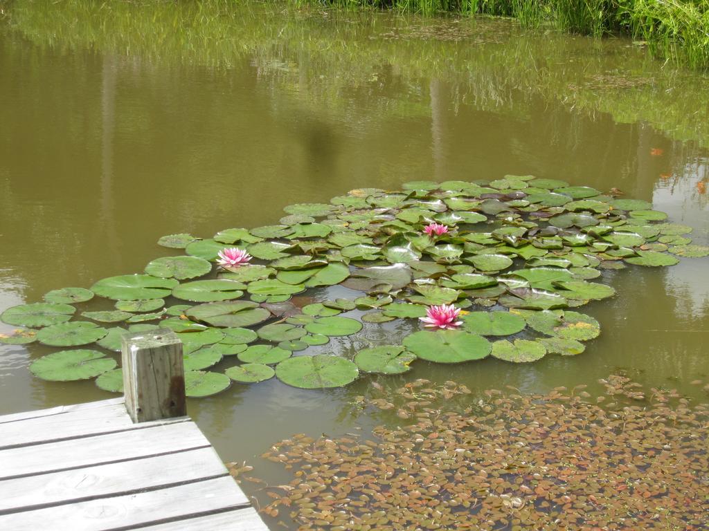 Thyme Out Estate Bed & Breakfast Halcombe ภายนอก รูปภาพ