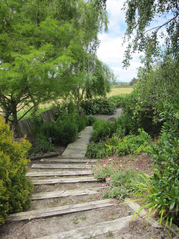 Thyme Out Estate Bed & Breakfast Halcombe ภายนอก รูปภาพ