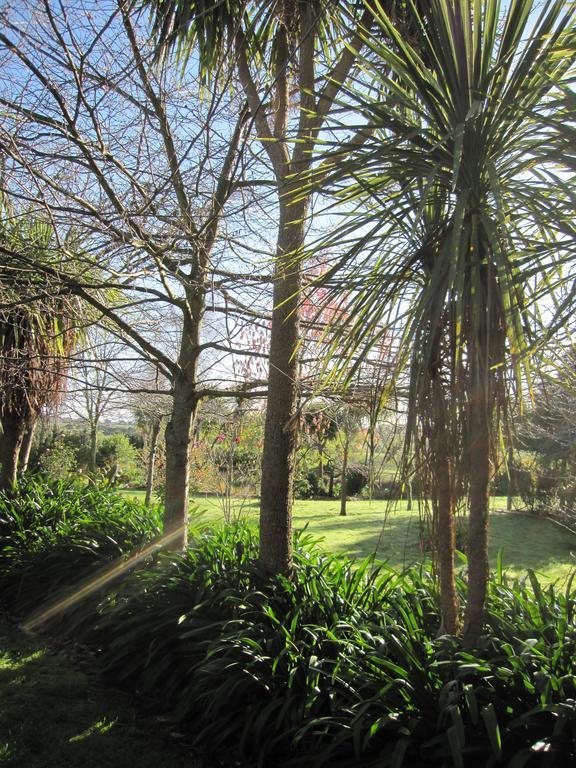 Thyme Out Estate Bed & Breakfast Halcombe ภายนอก รูปภาพ